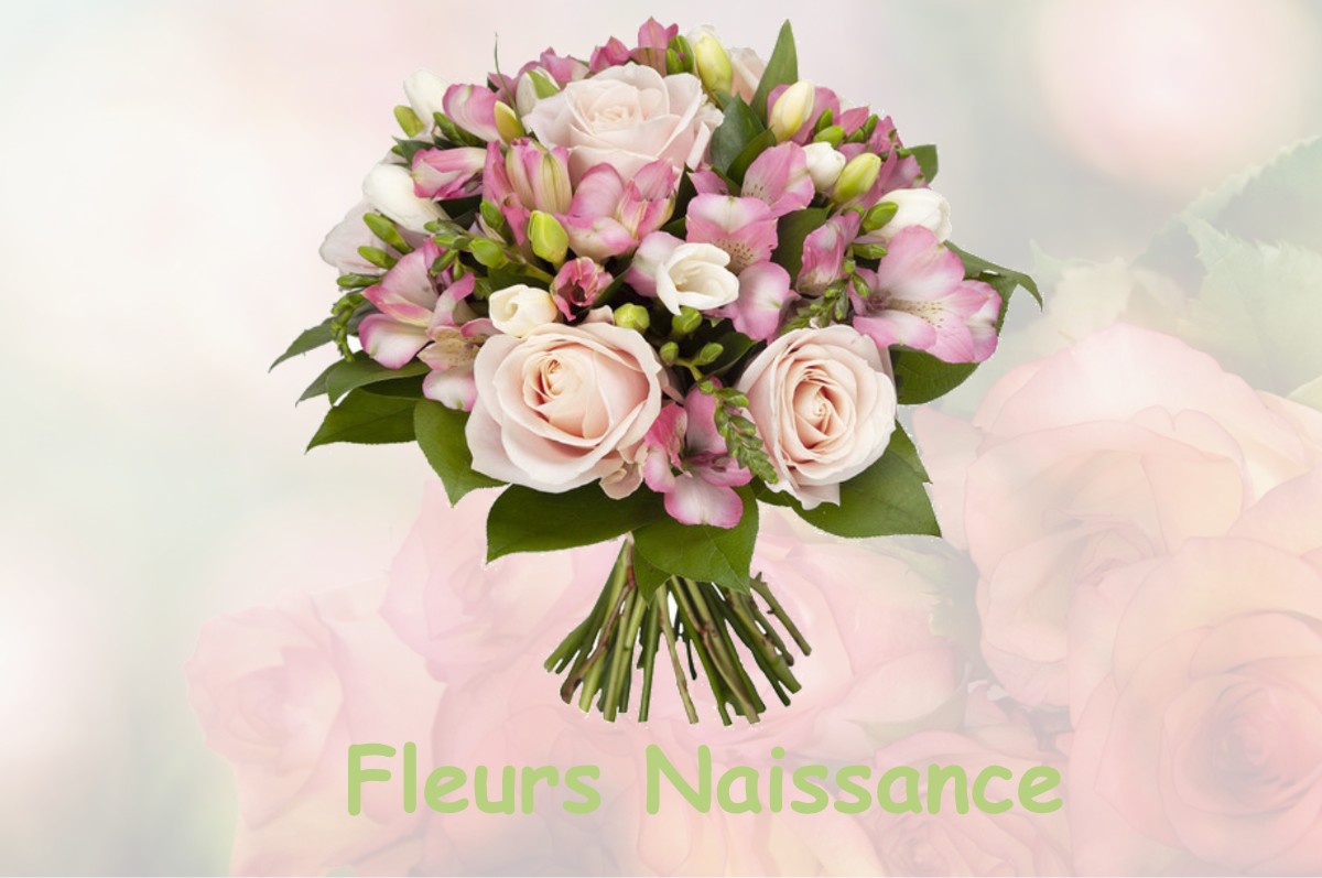 fleurs naissance NANTEUIL-LA-FOSSE